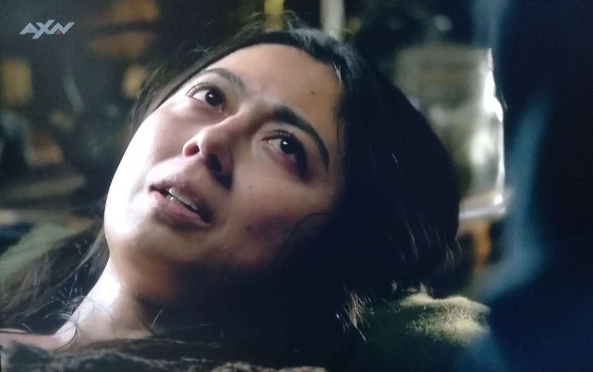 Spike 昨日海外ドラマチャンネルaxnで見た ラストジップ シーズン3 第5話を見てたら真田広之とナチュラルな日本語セリフのやり取りをしてる女優さんがいて誰やろ 思ったら 何とスティーブン セガールの娘 平成ガメラ3部作の 草薙浅黄でおなじみ 藤谷