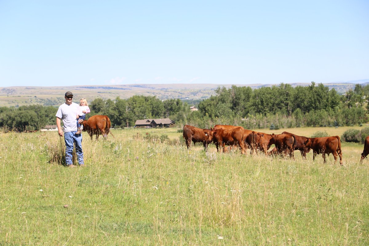KlompienA's tweet photo. The ranching and farming life is what we have chose to bring our kids in. They have both chosen to bring their children up  in the same life. A life that teaches work ethic, love, compassion, honesty, and much, much more. @realDonaldTrump #FairCattleMarkets https://t.co/DfSgTaExKj