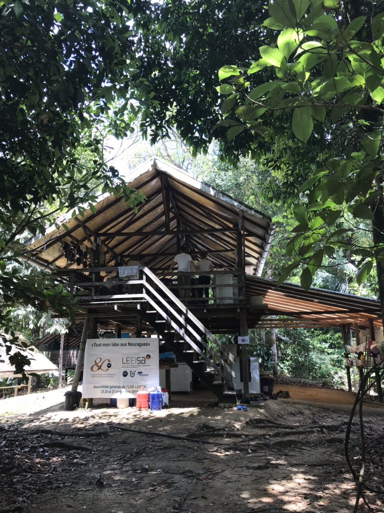 GaelleFornet's tweet photo. 13h30, fin de la logistique : tout mon labo est aux #Nouragues pour l’AG du #LEEISA #80ansCNRS #Guyane https://t.co/JYDnXs4F5f et https://t.co/FRcOzdI3Nv @INEE_CNRS @univguyane @Ifremer_fr @RNNouragues https://t.co/xw0xpGtmGG