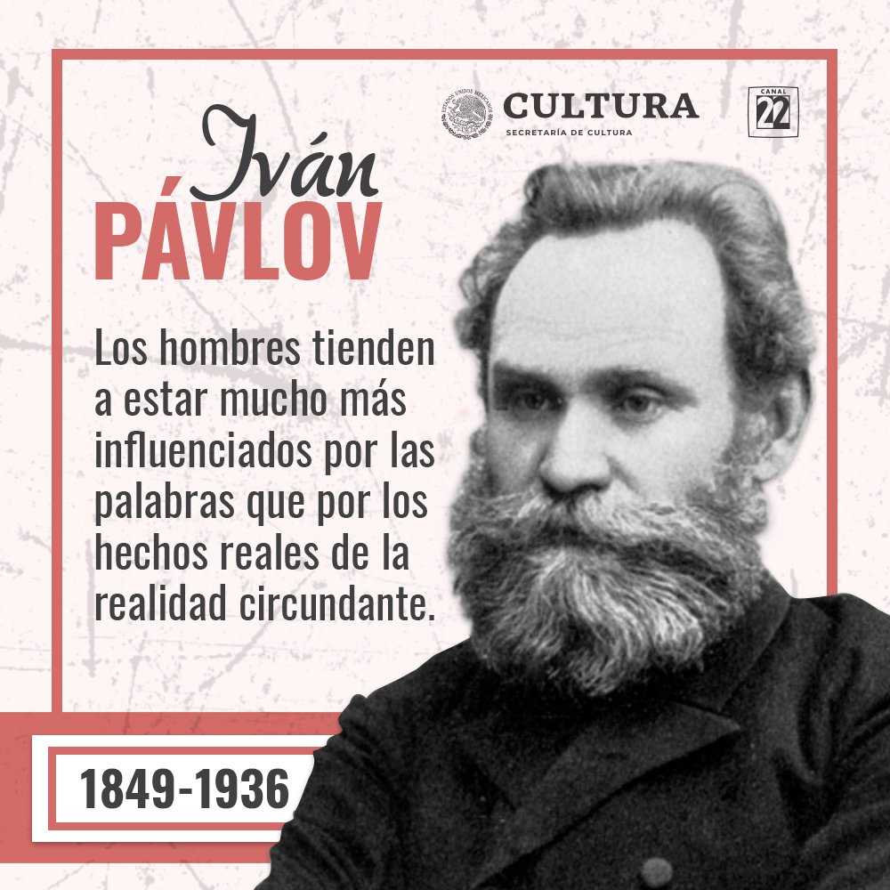 Canal 22 México tweet media