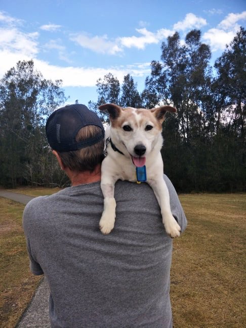 MaximusCampers's tweet photo. Hi Folks - My #BestBud Mo Is #GettingExcited For The Many #Adventures We Will Soon Be Undertaking In #MaximusUltimateCamperTrailer.
I Am Ron Gray And I Am The #Inventor, #Designer & #DrivingForce Behind This #Revolutionary #CamperTrailer Which Will #HitTheMarket Next Year. https://t.co/vmuLl7AA8X