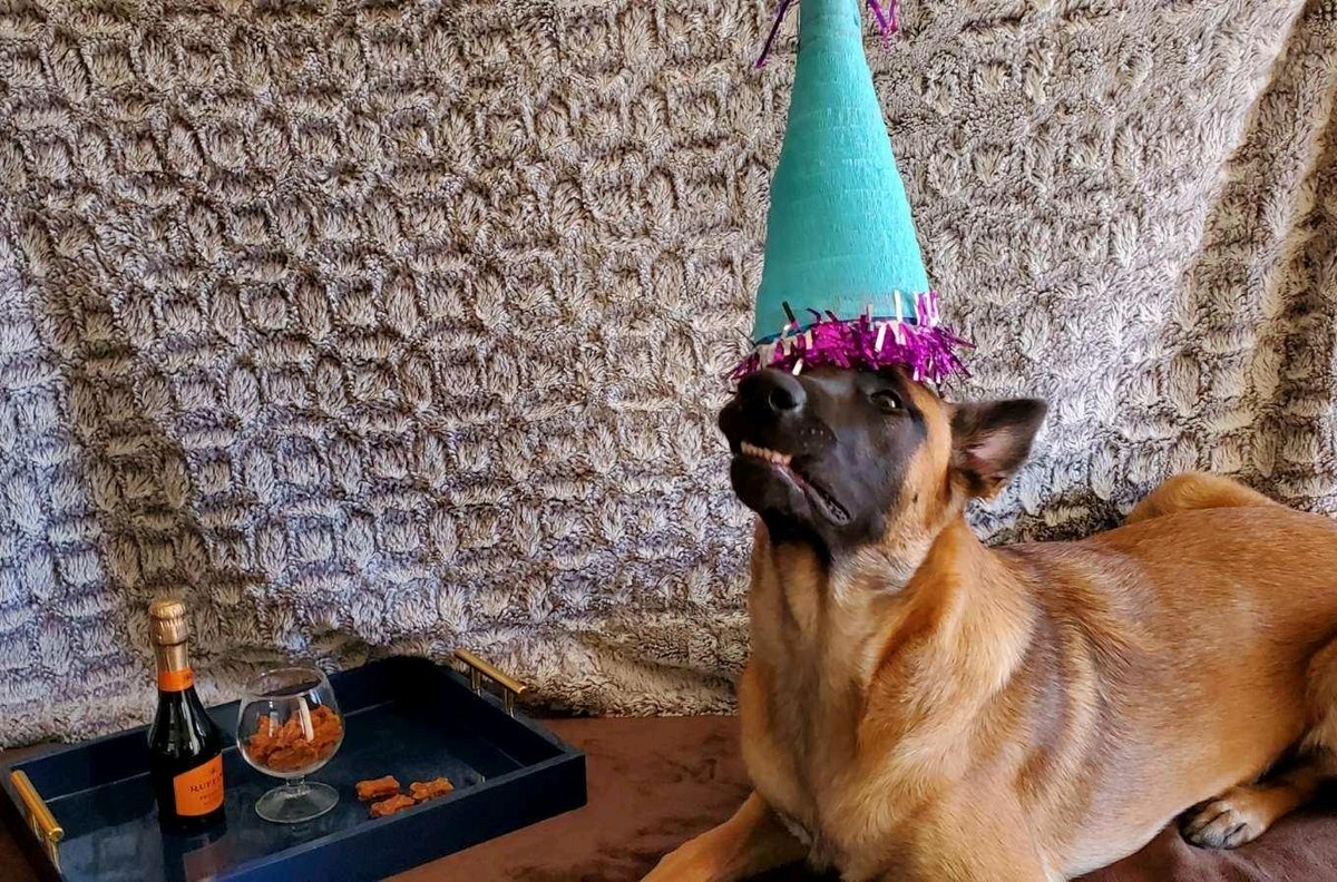 In A Pinch Business Services Twitter