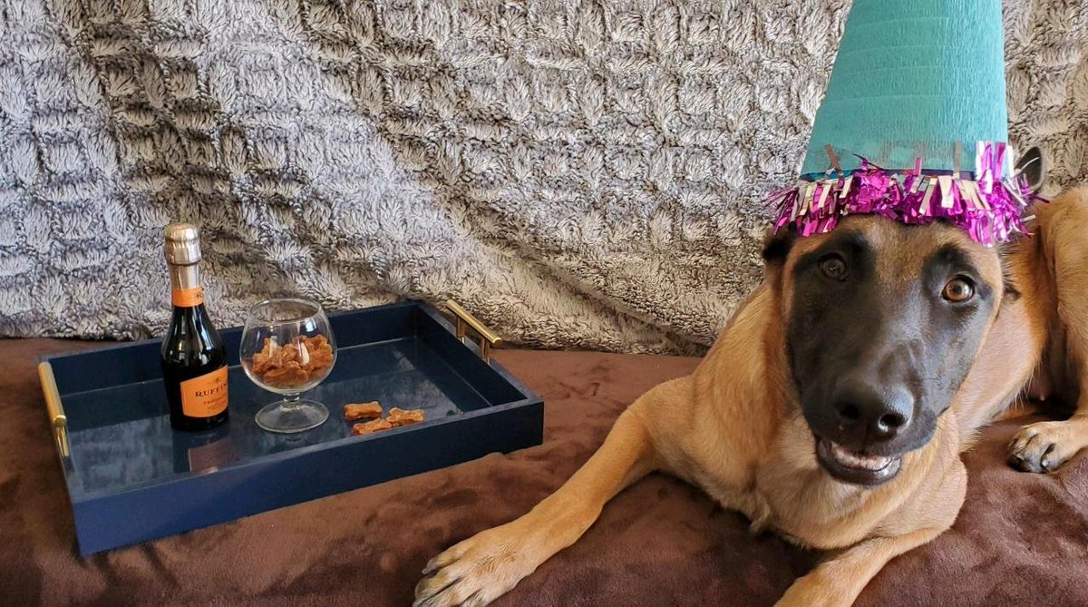 In A Pinch Business Services Twitter