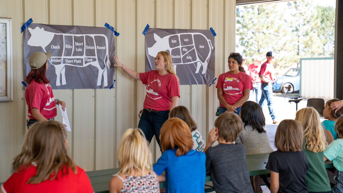 CSUAgSci's tweet photo. Ag Adventure Day 1️⃣

Over the next two days, more than 2,000 3rd graders, along with parents and teachers from Poudre School District are visiting ARDEC for hands-on learning experiences in Ag 🌾🚜🐮 https://t.co/l9aCJUeUfK