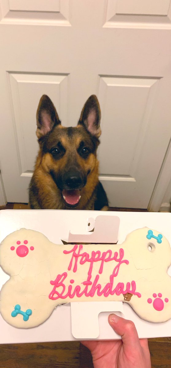 bon3daddyy's tweet photo. ITS CHIEFS BIRTHDAY EVERYONE!!!!!! 🎉 🎈 https://t.co/oYfhPozOqk