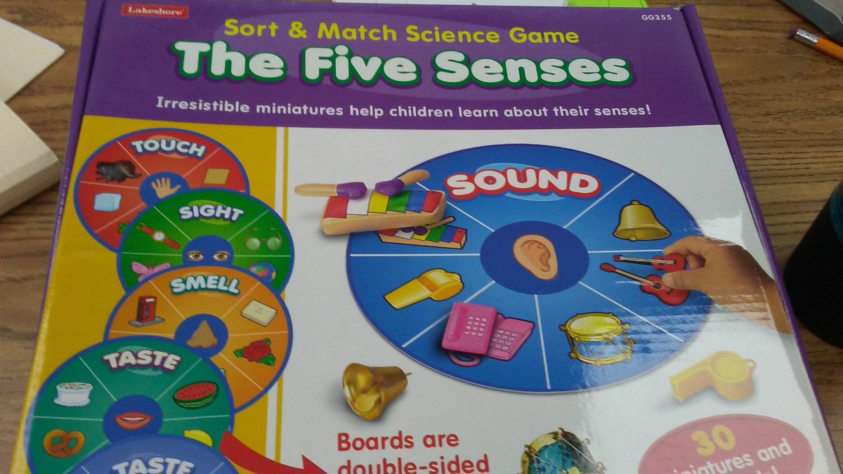 Lakeshore Five Senses Game