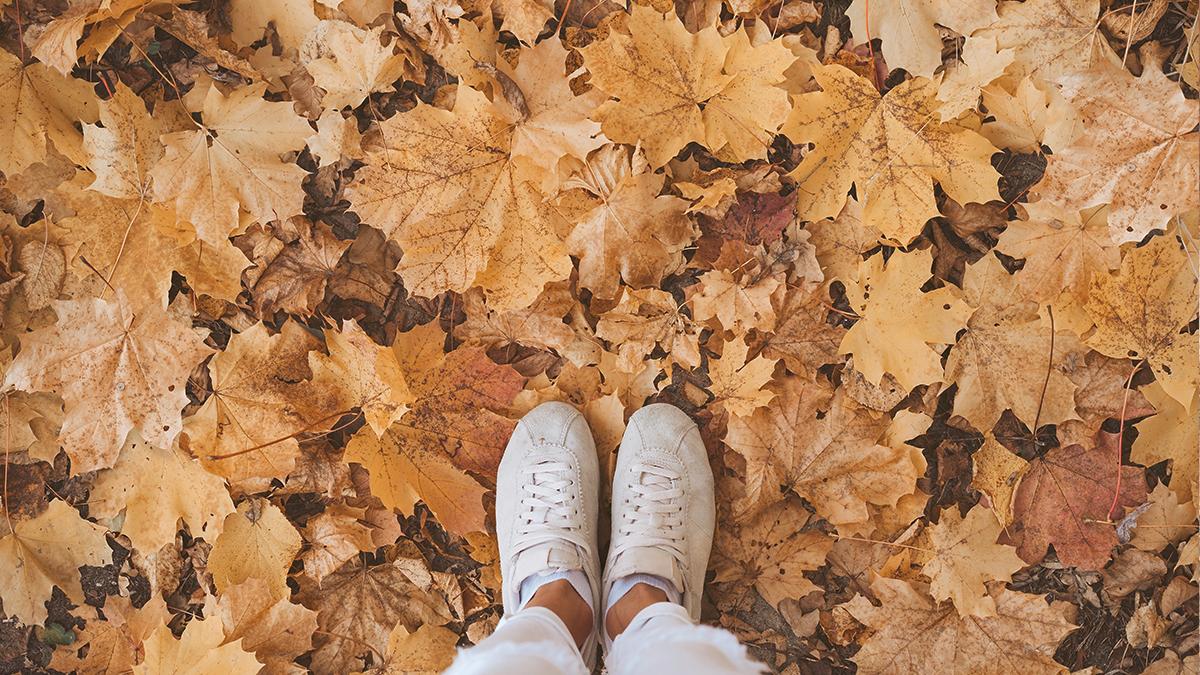 OlaySkin's tweet photo. To say weโre ready is an understatement. #FallMoodBoard https://t.co/MEK5whlSS2