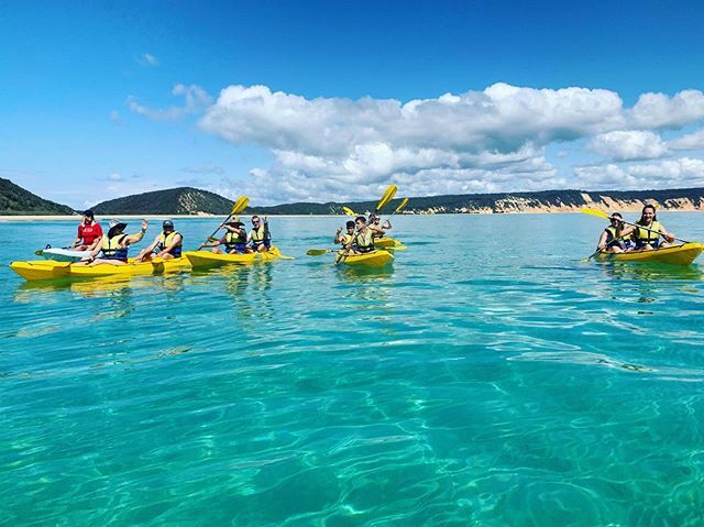 epicOadventures's tweet photo. Let's paddle out, have some fun, spot some wildlife and enjoy every moment! 😍 🙌 ☀️ https://t.co/wEyvBEKH1E https://t.co/2nTh6ByhkR