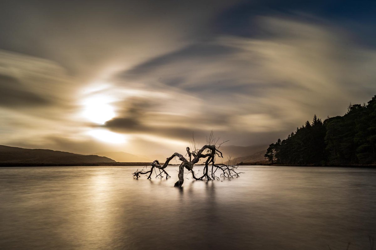 <a href="/LaceDiaries/">The Lace Curtain Diaries</a> <a href="/GuessWhereIWent/">Guess where I went?</a> <a href="/GalsWander/">WhereGalsWander</a> <a href="/travelwithirine/">Travel with lrine</a> <a href="/HHLifestyleTrav/">Hannah : HH Lifestyle Travel</a> @Fit_life360 <a href="/LiveaMemory/">Live a Memory</a> <a href="/MattsRoadTrip/">Matt</a> <a href="/AOAOxymoron/">Adventures of an Oxymoron</a> <a href="/TheUncorkedLib/">Christine | The Uncorked Librarian</a> @thethirstytales <a href="/MadHattersNYC/">Mad Hatters NYC</a> <a href="/RoadtripC/">Roadtrip Couple</a> <a href="/JulesHalvy/">Julie H</a> <a href="/RoadTripsCoffee/">Road Trips & Coffee | Jason</a> <a href="/DrVoyageur/">DrVoyageur.com</a> <a href="/knoxroadtripper/">Clayton Hensley</a> @layla_d13 <a href="/NomadicDreamz/">Neha</a> <a href="/TrippaTrips/">Pilchard Cottage, Dawlish (UK)</a> <a href="/BerkeleySqB/">Ellie & Stefan 👫| Berkeley Square Barbarian</a> <a href="/TravelBugsWorld/">Travel Bugs World ✈️🐞🌎</a> Beautiful! Definitely comes to mind when I imagine places like Louisiana! Can't wait to meet them in real life! We love the lonely trees that seem to stand against all odds and in all kinds of brutal weather like this one in Donegal <a href="/carpediemeire/">John @CarpeDiemEire</a> <a href="/_SpudontheRun_/">Spud on the Run</a> <a href="/travels_galaxy/">Rob & Norma | Travel Around the Galaxy</a>