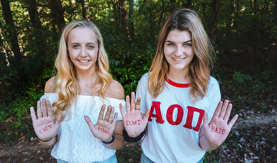 Alpha Omicron Pi ETSU tweet media