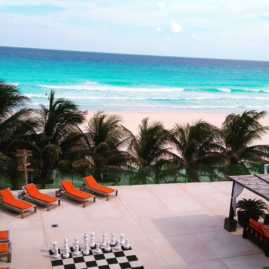 Flamingo Cancún tweet media