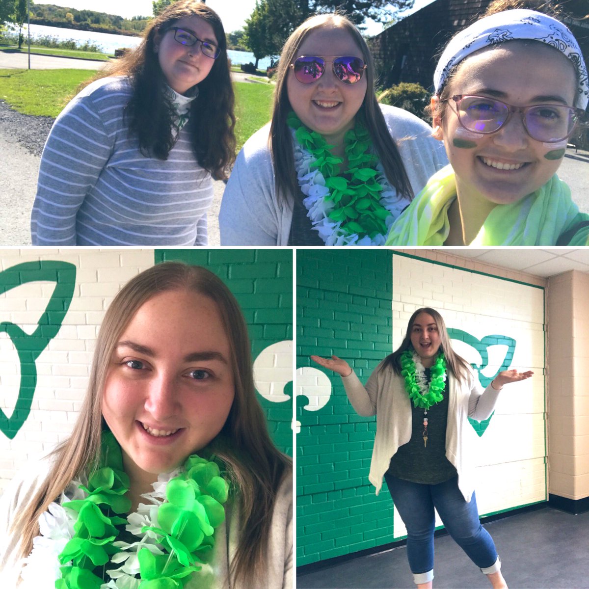 Bonne journée des Franco-ontariens et des Franco-ontariennes!#francofier #francophonie 💚⚪️🐸