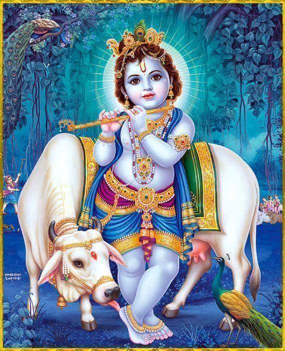 Jai sri Krishna