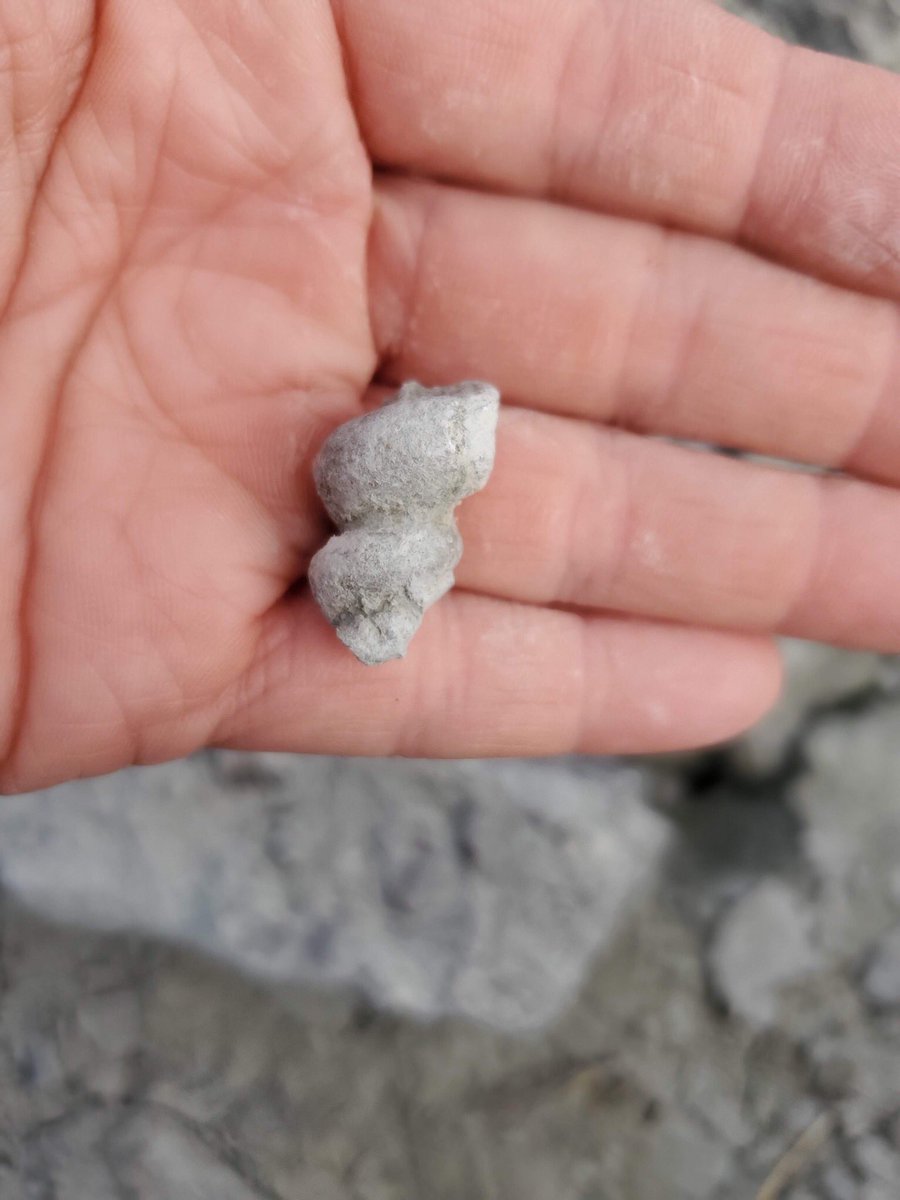 MrsElsasser's tweet photo. Caesar Creek is always a field trip win! It was a day full of sunshine, hikes, tadpoles, butterflies and fossils! #MyLearningLittled https://t.co/mHNs7c5MXp