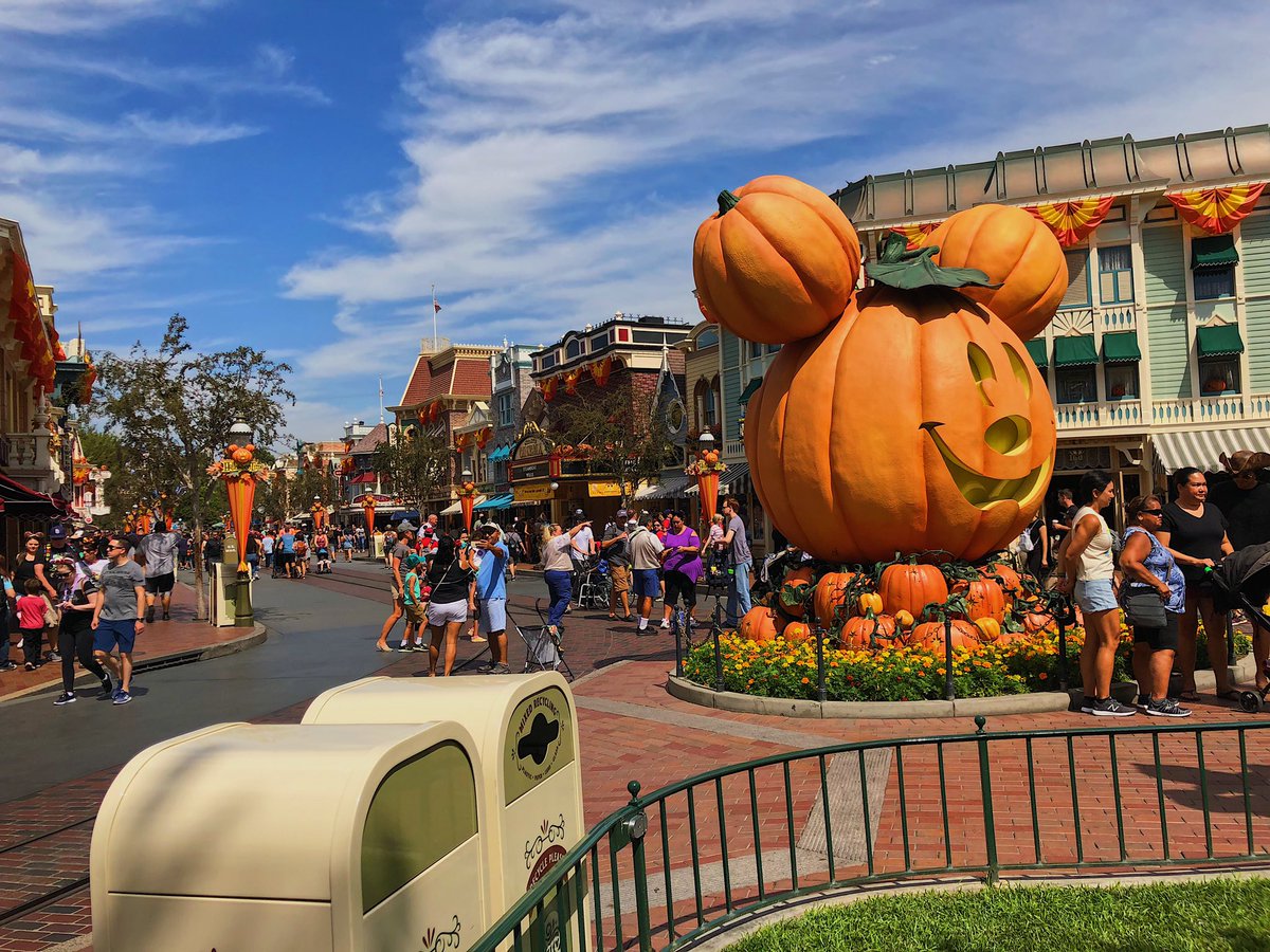 YUBBA__'s tweet image. It’s SPOOPY out here. #SpoopySzn