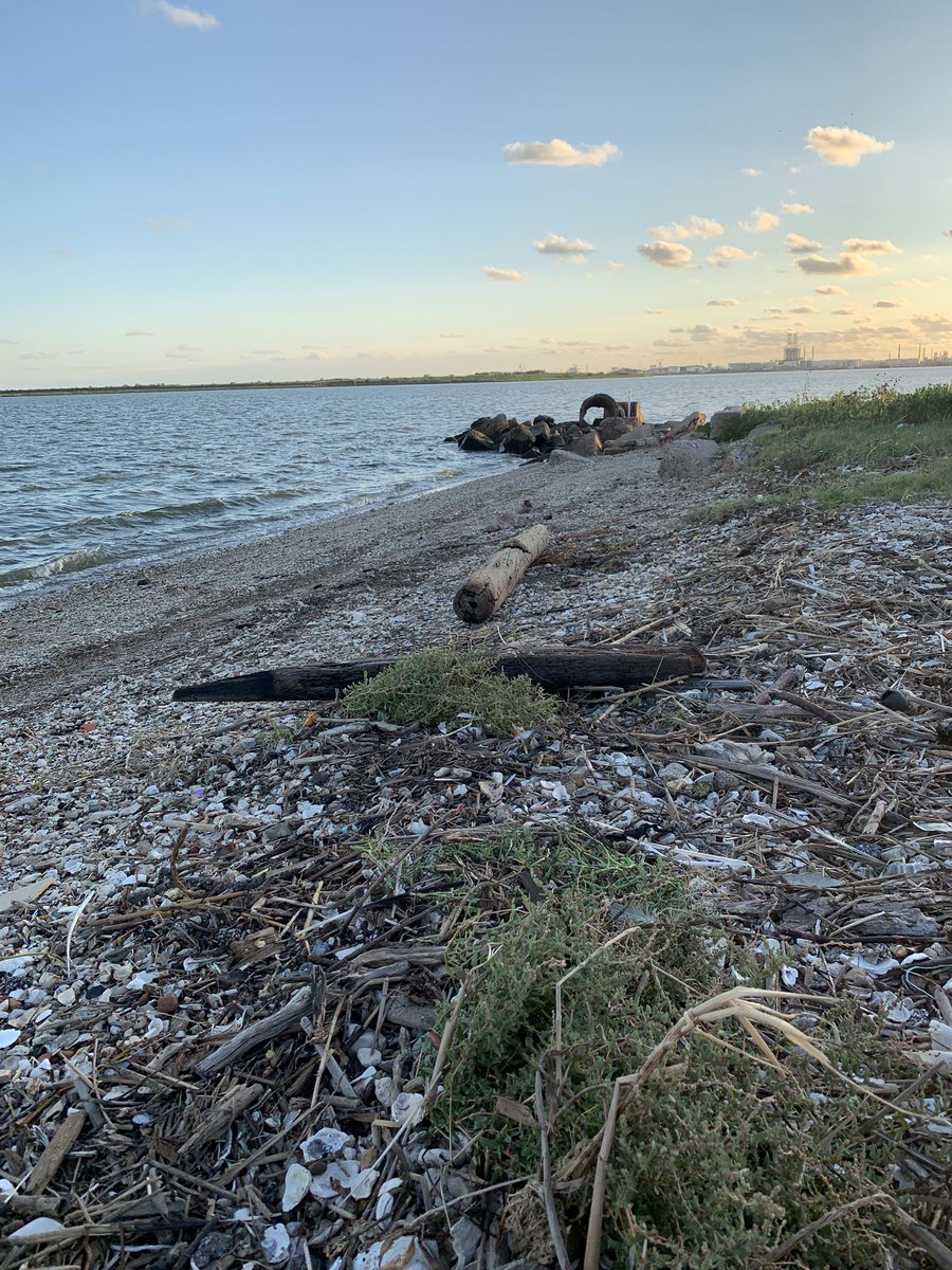 #FirstPost and our first #BeachClean