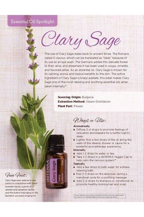 LadylikeMagick's tweet photo. #ClarySage is my favourite #doTERRAEssentialOils. With its delicate, floral aroma, it is my current go-to for relieving anxiety and stress.
#ladylikemagick #anenchantedlife #goddesspampering #doterrarocks #naturalessentialoils #doterralove #doterralover #therapeuticgradeoils https://t.co/8se8dgAYf0