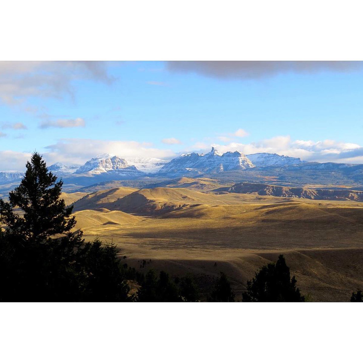 SOARADHD tweet media