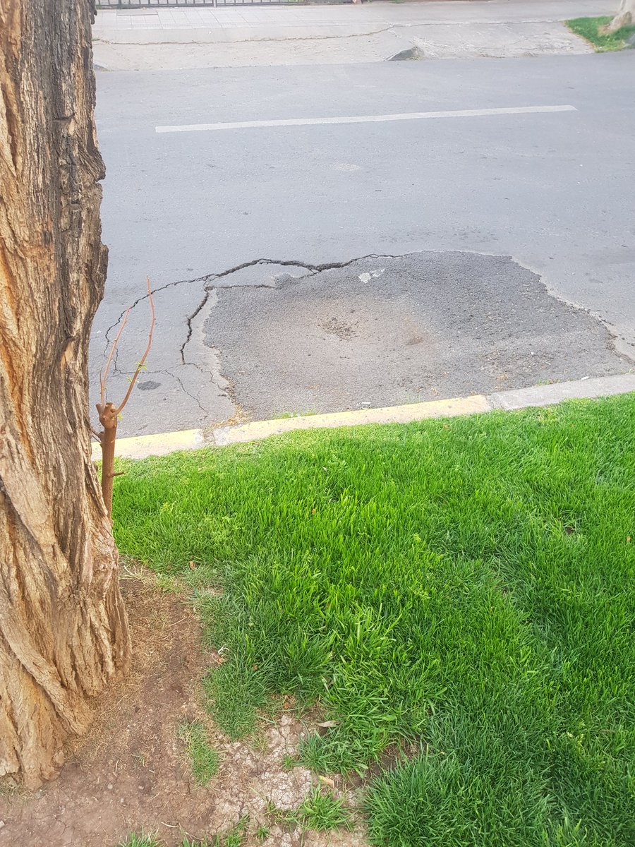 maxgardu's tweet photo. Ayer me saque la cresta en scooter, como puede  haber "eventos" de esa magnitud???. #ñuñoa #ñuñoasucks #municipalidadñuñoa #mecaguelehombroctm https://t.co/AKtgLmv6Td
