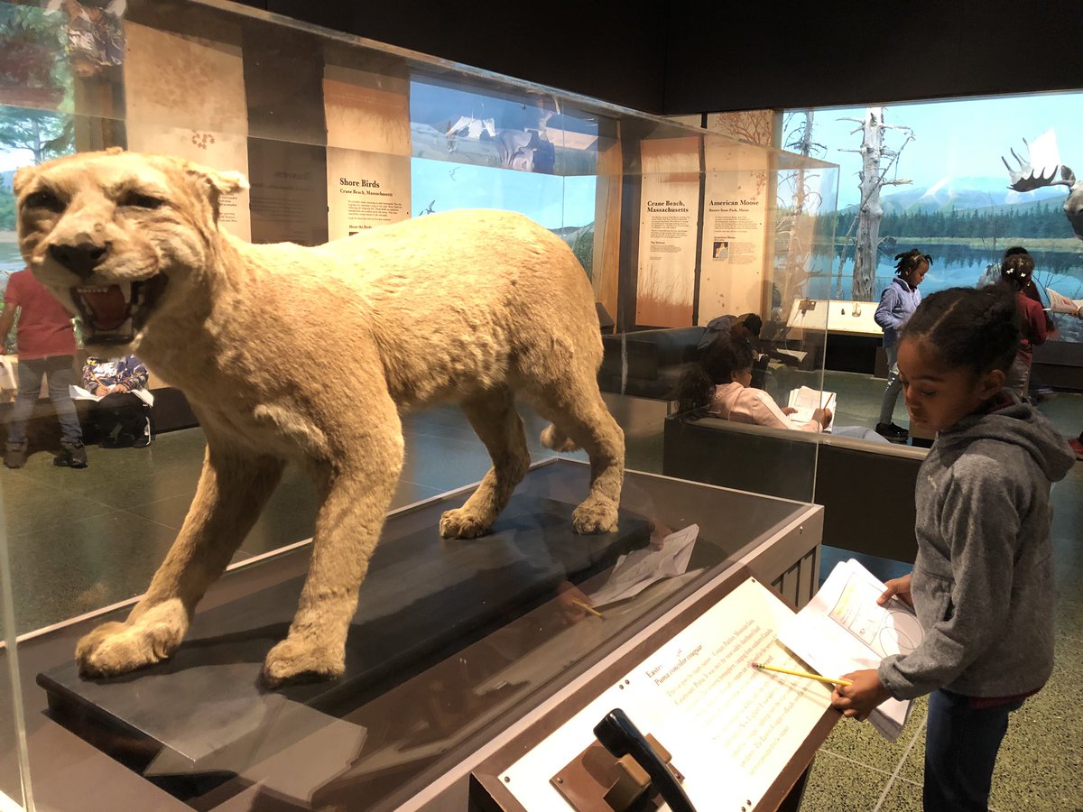 Klevisa Rama tweet media