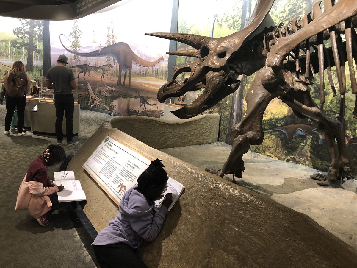 Klevisa Rama tweet media