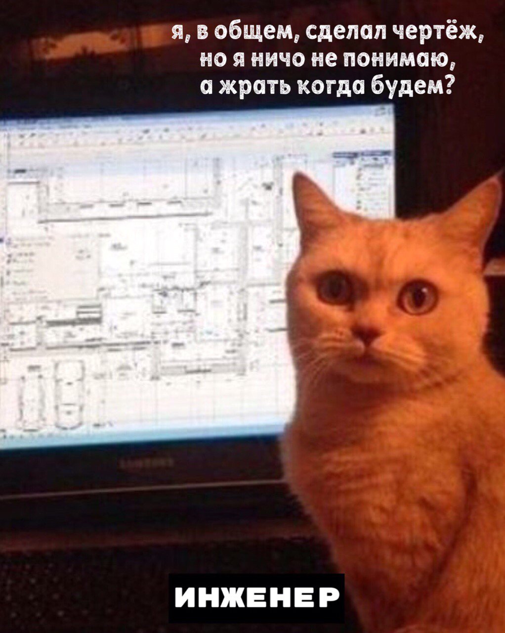Кот инженер