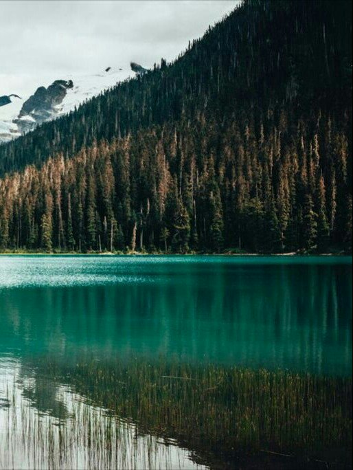 Joffre Lakes Trail, Canada