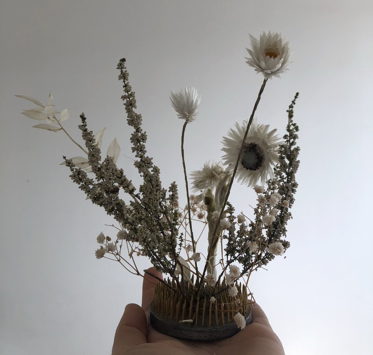 jo_'s tweet photo. With the help of YouTube taught myself how to make mini gardens using kenzans for a recent job. Keep an eye out for more pictures on https://t.co/haAsM6MSPa this week. https://t.co/AP3Up8mbvE