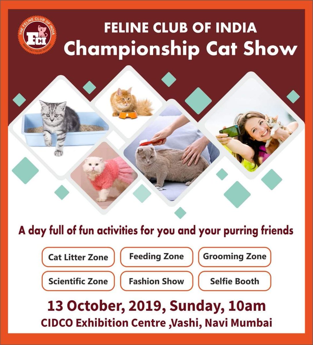 The Feline Club of India tweet media