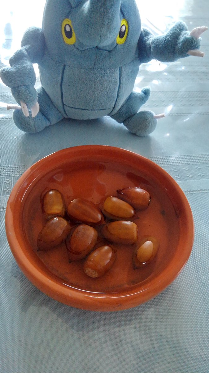 ばんきち のんびり 最近始めたどんぐり育成録 どこでもカクさん 1 おてごろどんぐりをてきとーに集めます 2 水を入れた容器にどんぐりを入れ 浮くものは虫食いの可能性ありなので取り除く 3 乾燥させないよう容器で水に浸す