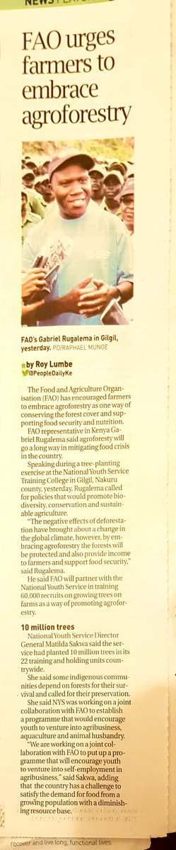 Trees on farms may be the best approach to aforestation.