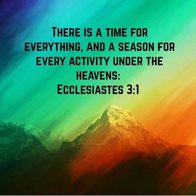 TPJCMinistries's tweet photo. There is a season. There is a time. There is a reason. #godsword #thediscerner #propheticinsight https://t.co/ZeTHftnAVU