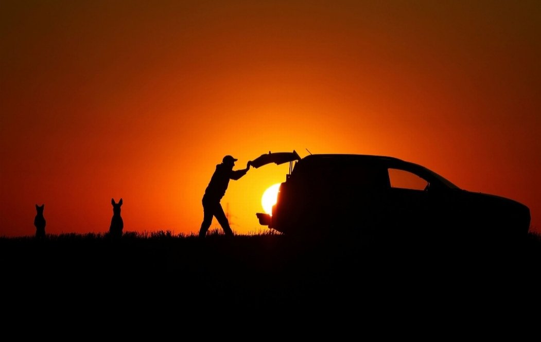 eLanguageWorld's tweet image. Here Goes The Sun!
#eLanguageWorld
PC: Diana Badmaeva