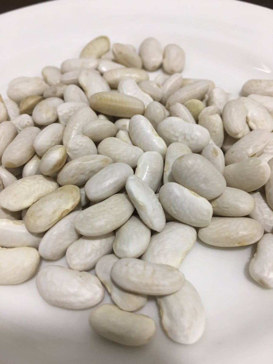 JaviSolfa's tweet photo. Los habitantes rurales deberíamos realizar acciones diferentes para realizar un cambio social y pasa por recuperar semillas que nos dejaron nuestros abuelos #fesol de Beseit gastronomía KM0 https://t.co/FUOcANE712