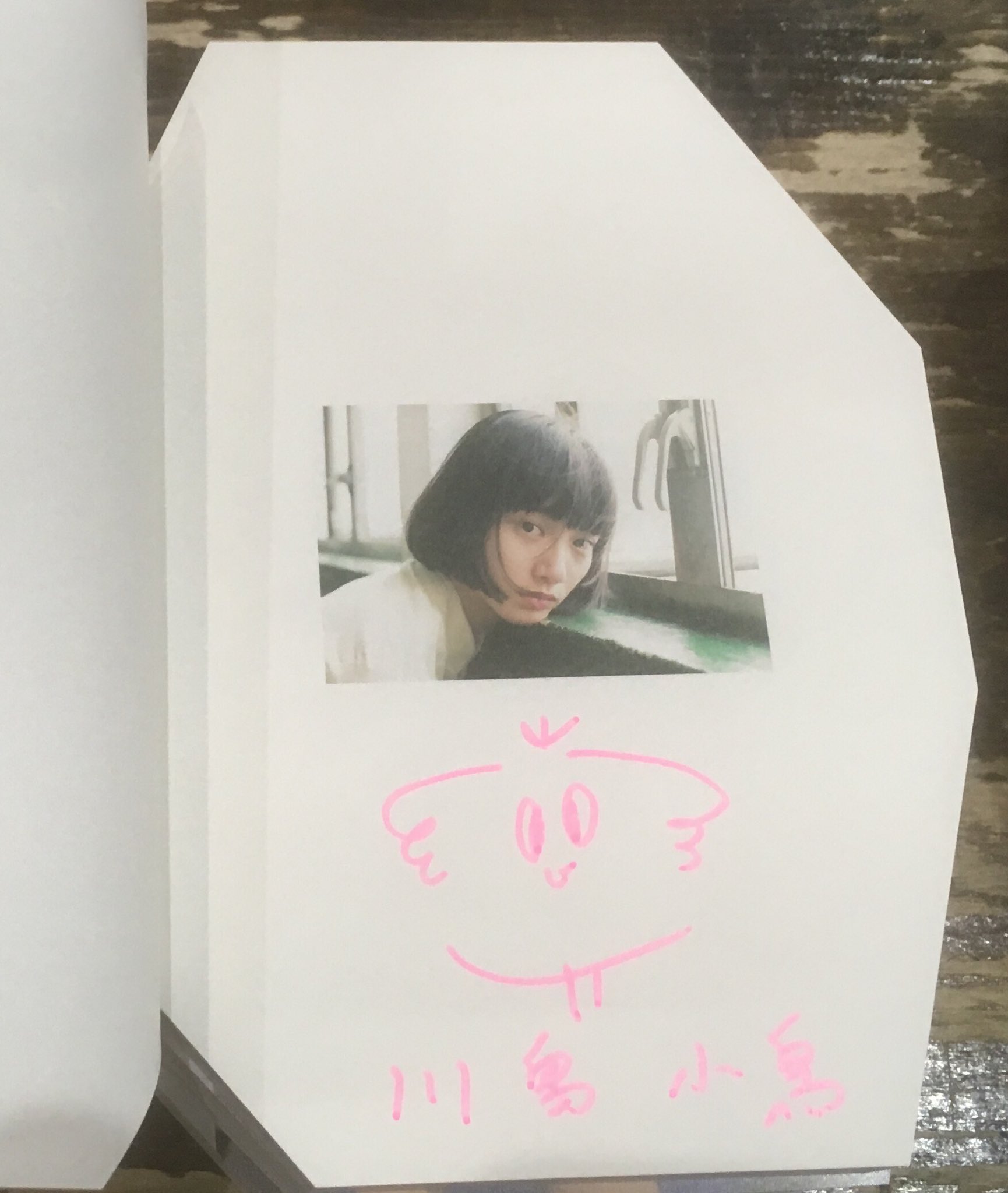 川島小鳥　violet diary 298b695db937225e08b812ca1ad2be