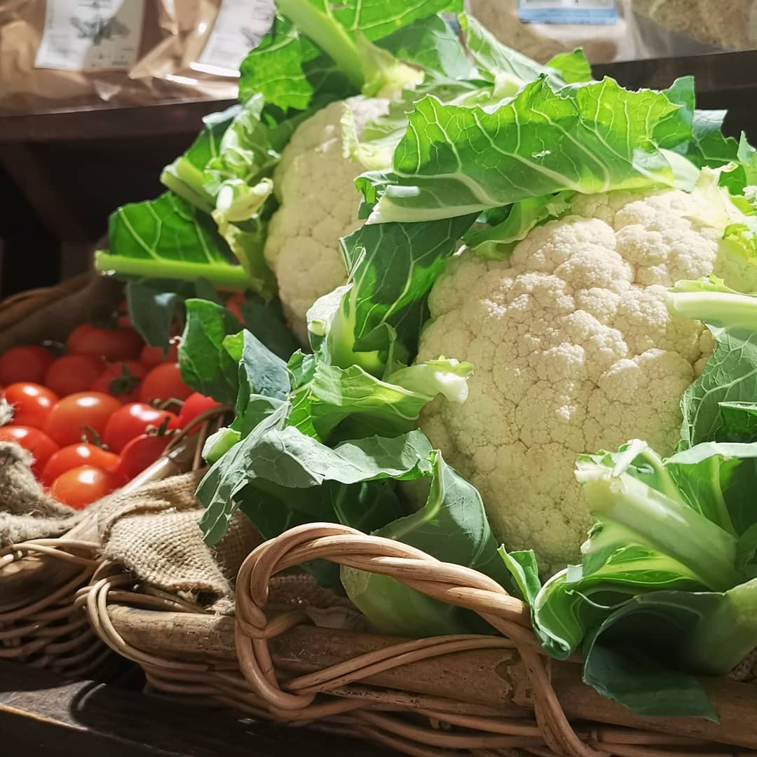 GSOSales's tweet photo. Beautiful huge fresh cauliflower's in store 😍
#organic #beaconsfield #greensoulorganics #organicliving #healthylifestyle #healthyisbeautiful https://t.co/7ECrz6GINu