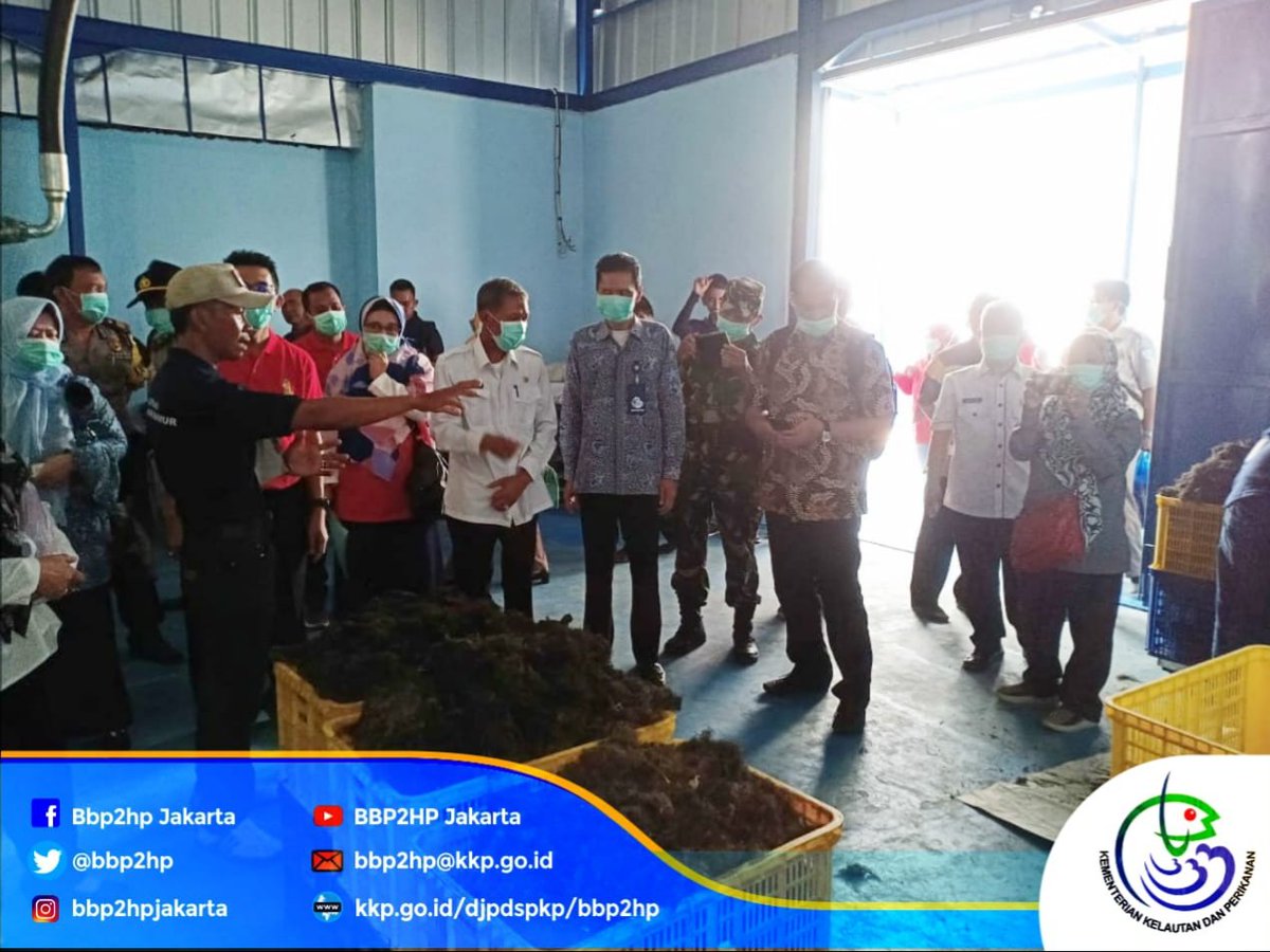 bbp3kp's tweet photo. Plt. Kepala @bbp2hp bersama tim hadir pada Seanergy Pesisir Berseri  PT. Pertamina EP ASSET 3 Tambun Field Karawang (25/9). Salah satu rangkaian dalam kegiatan ini adalah peresmian gudang rumput laut Koperasi Mina Agar Makmur yang menerapkan inovasi @bbp2hp yaitu Agar-agar Strip. https://t.co/3UAUsqiFu1