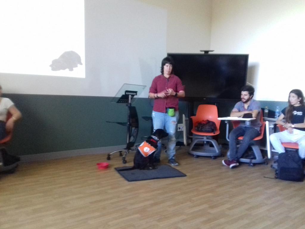 Una clase diferente con Compludog. Intervencion con animales