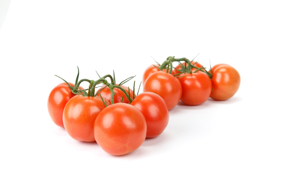 Ons nieuwe jointless tomatenras Santiana RZ is een ras met productiepotentie. Meer eigenschappen te weten komen?Lees hier verder bit.ly/2mR0EFc 
#tomaat #nieuw #productie