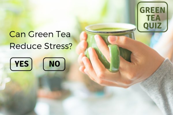 El té verde puede reducir el stress?  Yes / No descúbrelo aquí vía @greenteainusa --> buff.ly/2LMC2c2 #greenTeaMania #matcha #tea #stressfree #japanesetea #greentea