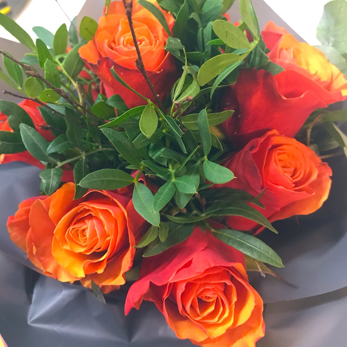 Newcastle Sparkles tweet media