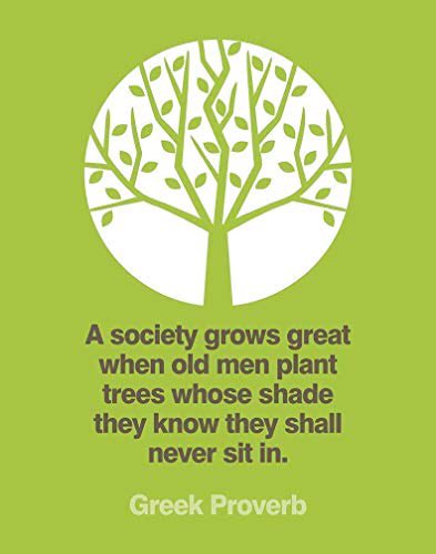 #ThursdayThoughts #Growth #Nature #Green #Replanting 
#future #love #oneworld 🌎❤️💚