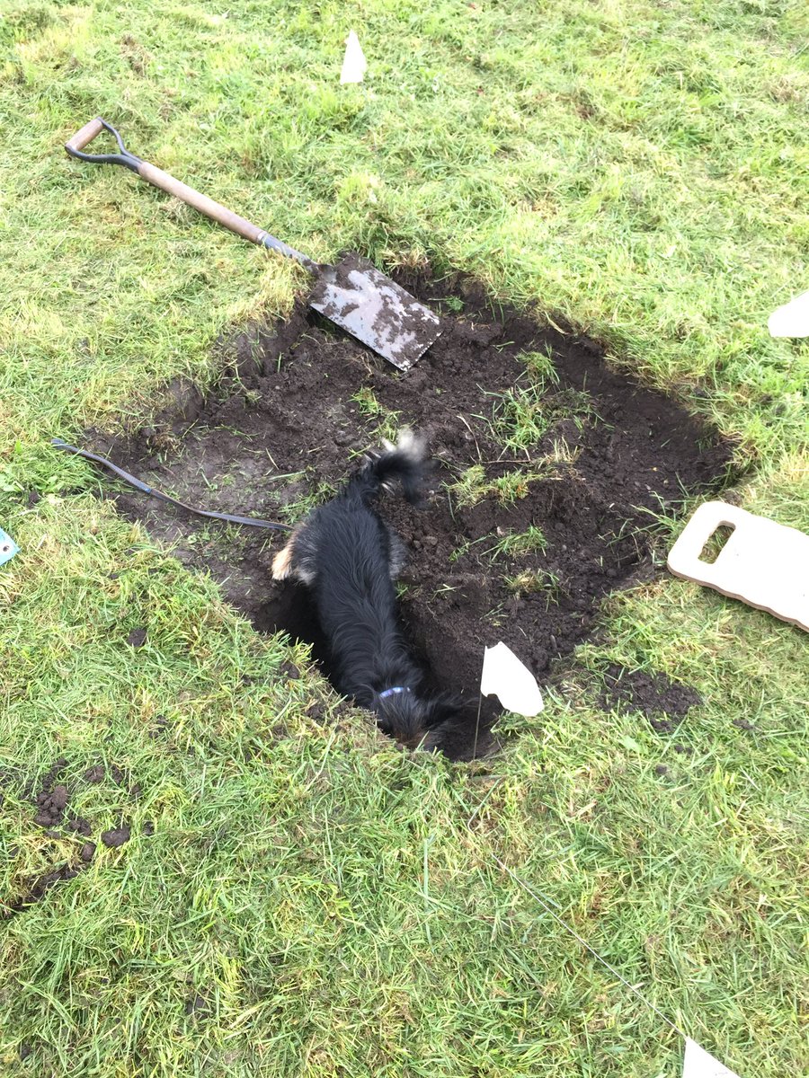 We had some help from @EdnamPrimary this morning (& a wee dug) #kelsoabbey #communityorchard #kelsoheritagesociety