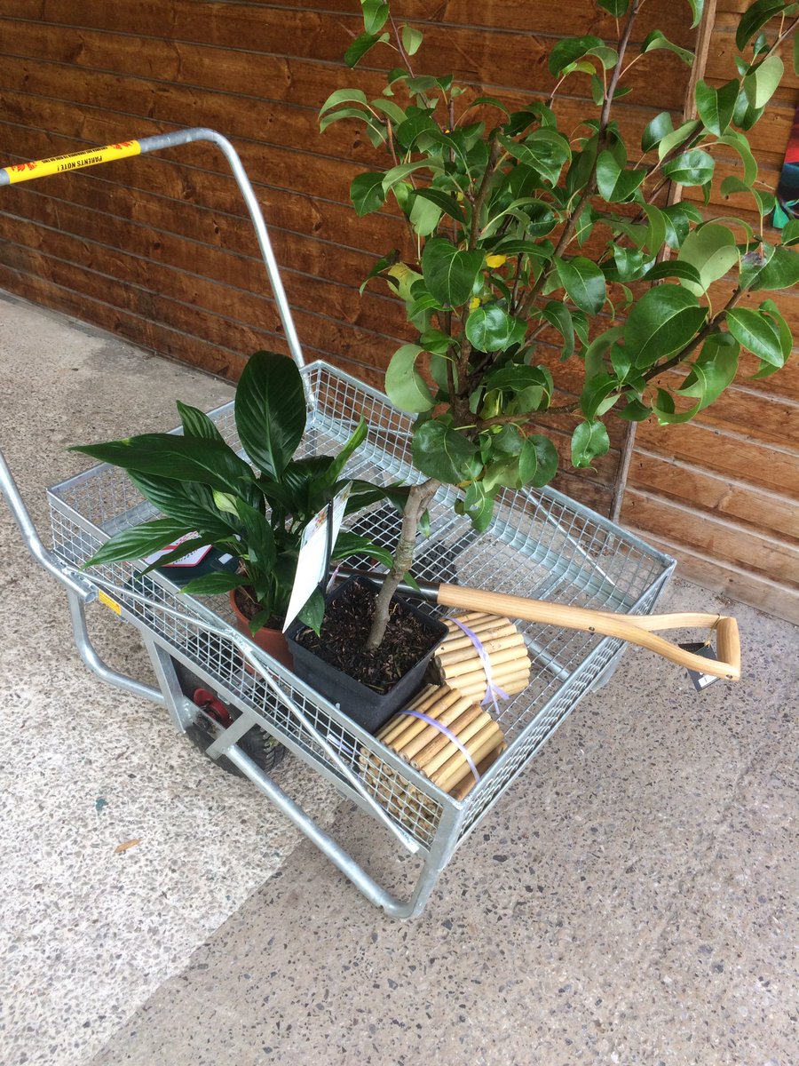 Pyramidsband1's tweet photo. ... 🌳 And so it begins...🌲...
#climateemergency #actnow #gretathunberg #extinctionrebellion  #stopfosilfuels #banfracking #globalclimatestrikes #fridaysforfuture #businessasusual #biodiversity #planttrees #nature #safetheworld #saveourplanet #cutthecar #worktogether https://t.co/9pgIb12Xlh