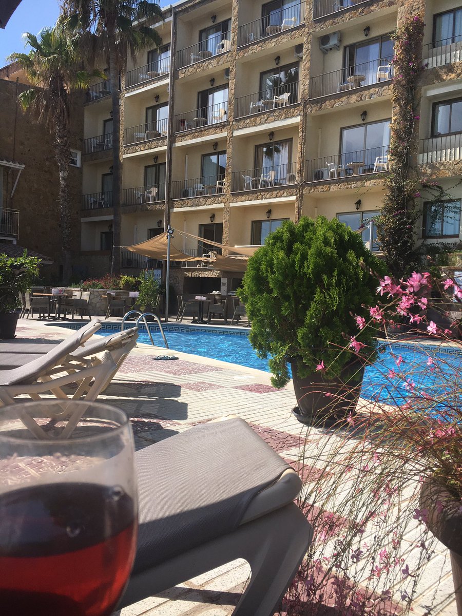 RachaelCWoodNZ's tweet photo. Enjoying a relaxing afternoon post conference #FIRM2019 #platjadaro #regenmed #conferencelife #AcademicChatter #networking https://t.co/OSh5cOJgaH