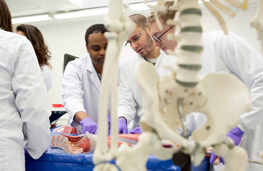 We are delighted to offer a 4 year funded (UK/EU) PhD studentship here at CAHID. The successful candidate will start in January 2020. The 2019/2020 tax free stipend is £15,009 per annum. Further details can be found at: buff.ly/2nccOZn
Deadline: October 13th