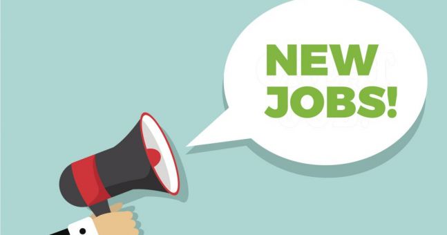 **NEW JOB VACANCIES**
We are recruiting line operatives for the night shift at our Barkston Heath site. Please follow the link below for details and to apply. #recycling #jobsinlincolnshire #Jobs #jobsingrantham #jobsinsleaford

midukrecycling.co.uk/care…/line-operative-be6d/…