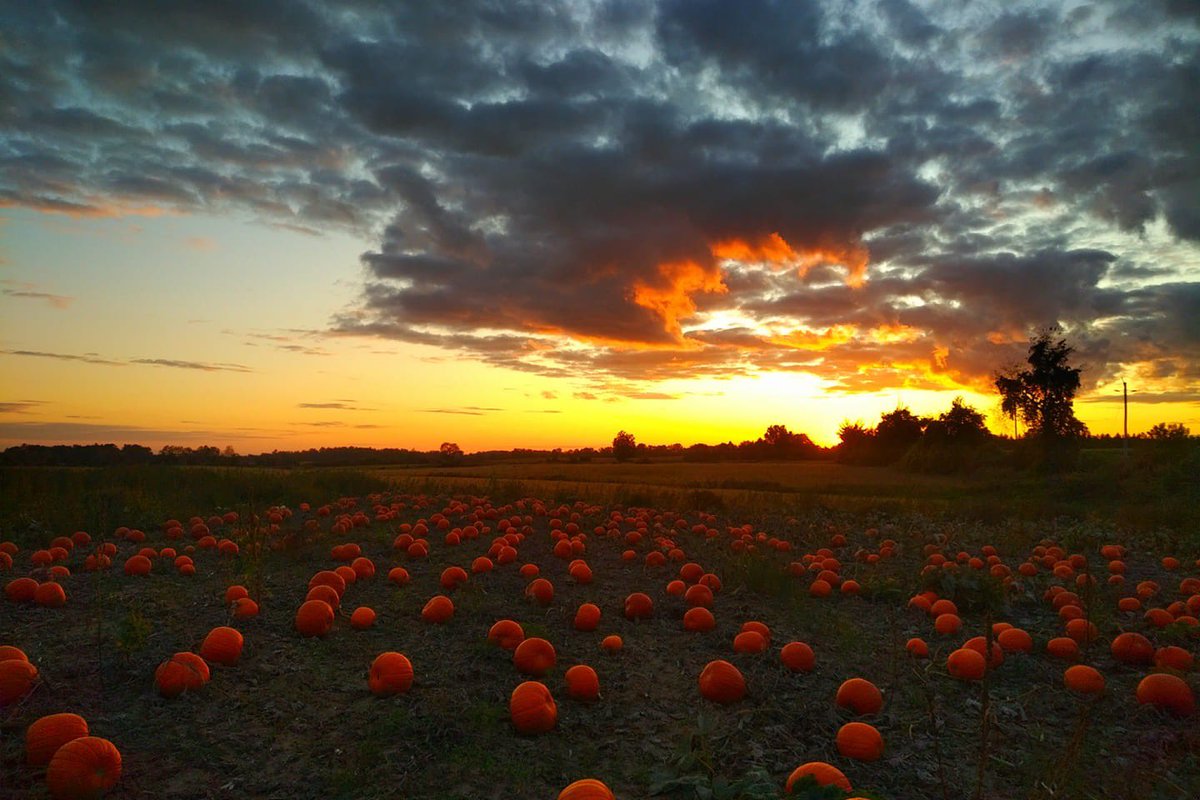 janineXpec's tweet photo. #FallPorn ✨ https://t.co/6A0TnjYOd0