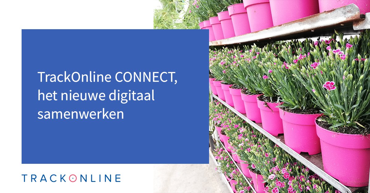 TrackOnline_'s tweet image. Ga zelf gratis aan de slag met TrackOnline CONNECT.

ow.ly/uuvk50wnXXc

#TrackOnline #DigitaalSamenwerken #innovatie #verbinding