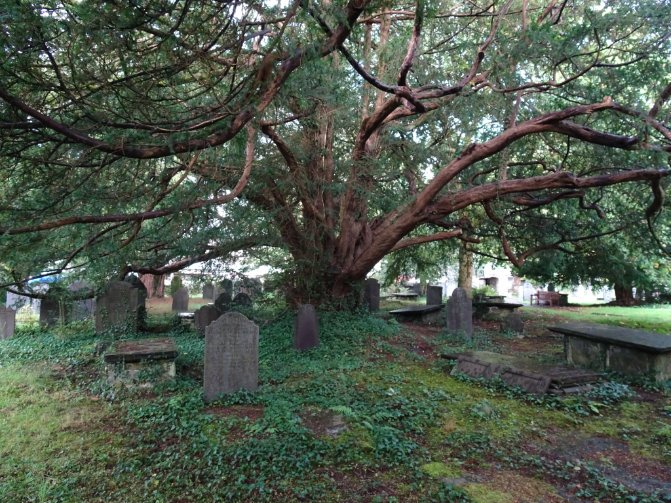 Spud on the Run tweet media